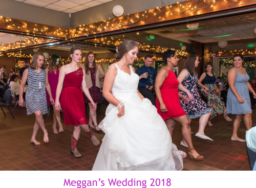 Meggan’s Wedding 2018